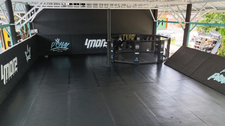 IMG E6E348AD061C 1 768x430