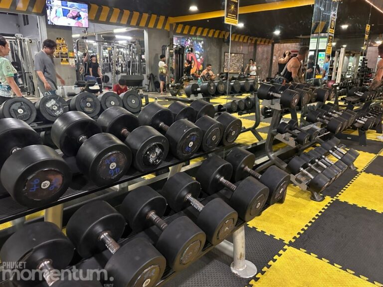 Hi Gym inside area 2 1 768x575