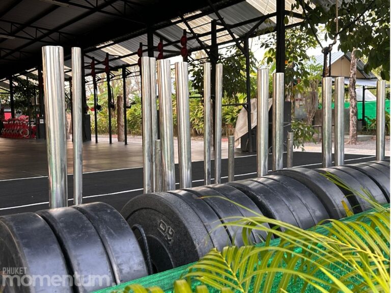 Titan Fitness Outdoor Gym floor weights 768x575