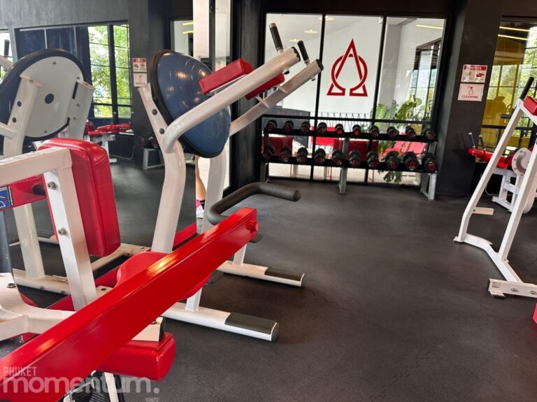 Alpha Gym machines 768x575